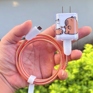 适用Lewoo乐物45W充电器壳苹果17 16 15 promax数据线保护套绕绳