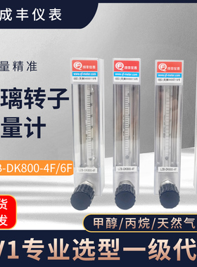 常州成丰LZB-DK800-4F/6F玻璃转子流量计甲醇氨气丙烷防腐氮气 水
