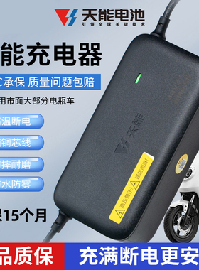 天能铅酸充电器48V60V72V电动车电瓶车专用充电器新国标快充TC
