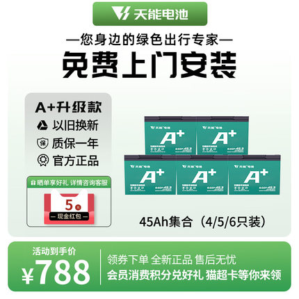 天能电池A+ 48V60V72V45AH电动车石墨烯电池三轮车电摩款铅酸电池