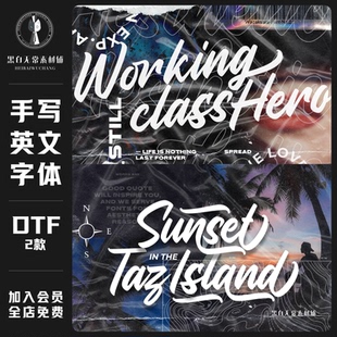 优雅时尚流行书法手写风logo标题设计邀请函英文字体电脑安装素材