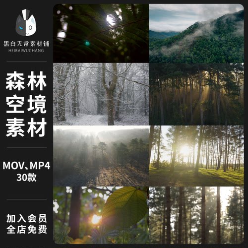大自然风景迷雾山林树林森林空境背景AE特效合成pr抖音短视频素材