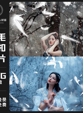 唯美梦幻白色羽毛飘落人像儿童摄影照片装饰叠加PNG免扣设计素材