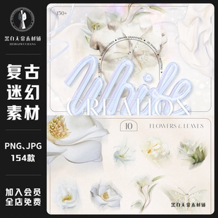 复古迷幻抽象3D立体图形流体颗粒渐变弥散背景图石膏花卉设计素材