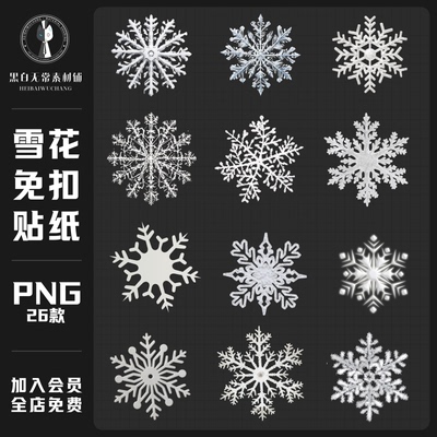 圣诞节冬季冬天下雪花纹理图案装饰元素手账免扣PNG图片设计素材