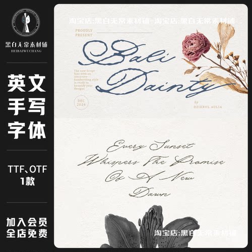 精致优雅流畅logo标识排版连笔花体签名西文手写英文字体安装素材