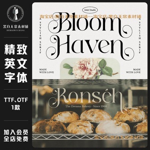 文艺复古精致优雅海报设计logo标题徽标衬线英文字体安装美工素材