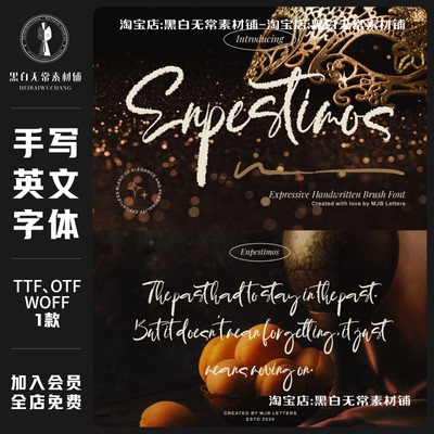 现代优雅美学品牌海报包装设计马克笔手写英文字体安装包美工素材