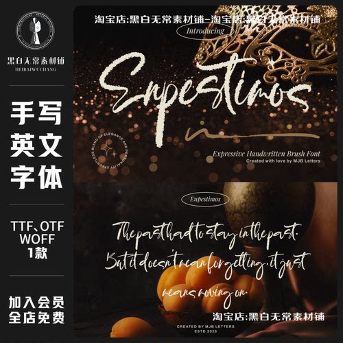 现代优雅美学品牌海报包装设计马克笔手写英文字体安装包美工素材