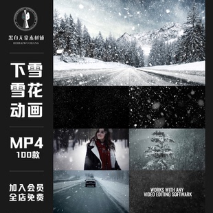 寒冷冬天下雪飘舞暴风雪飞舞雪花飘落雪景AE特效叠加动画视频素材