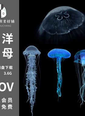 水母视频素材海洋水底蓝色生物游动漂浮AE特效合成设计动画元素pr