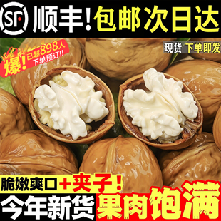 2026年新鲜湿核桃黑桃去青皮老树核桃薄皮孕妇专用嫩生鲜核桃新货