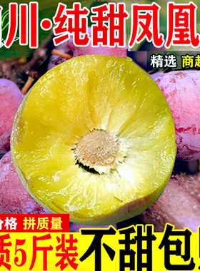 四川脱骨李子五月脆整箱5斤现货半边红青脆凤凰李新鲜水果孕妇包