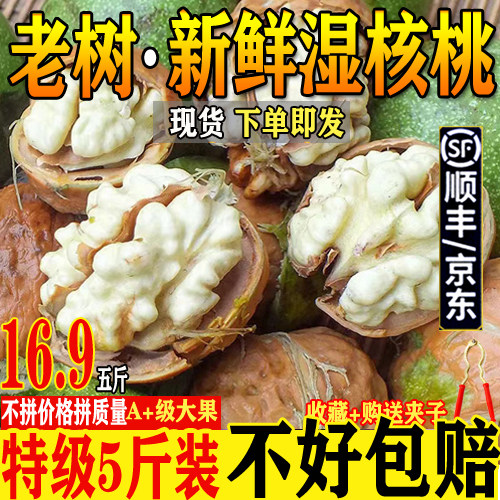 顺丰2026年新鲜湿核桃大凉山去青皮老树核桃薄皮孕妇嫩生核桃5斤