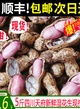 【官方力荐】当季新鲜泥巴花生