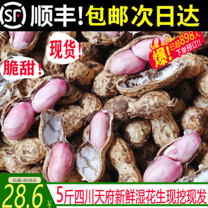 【官方力荐】当季新鲜泥巴花生