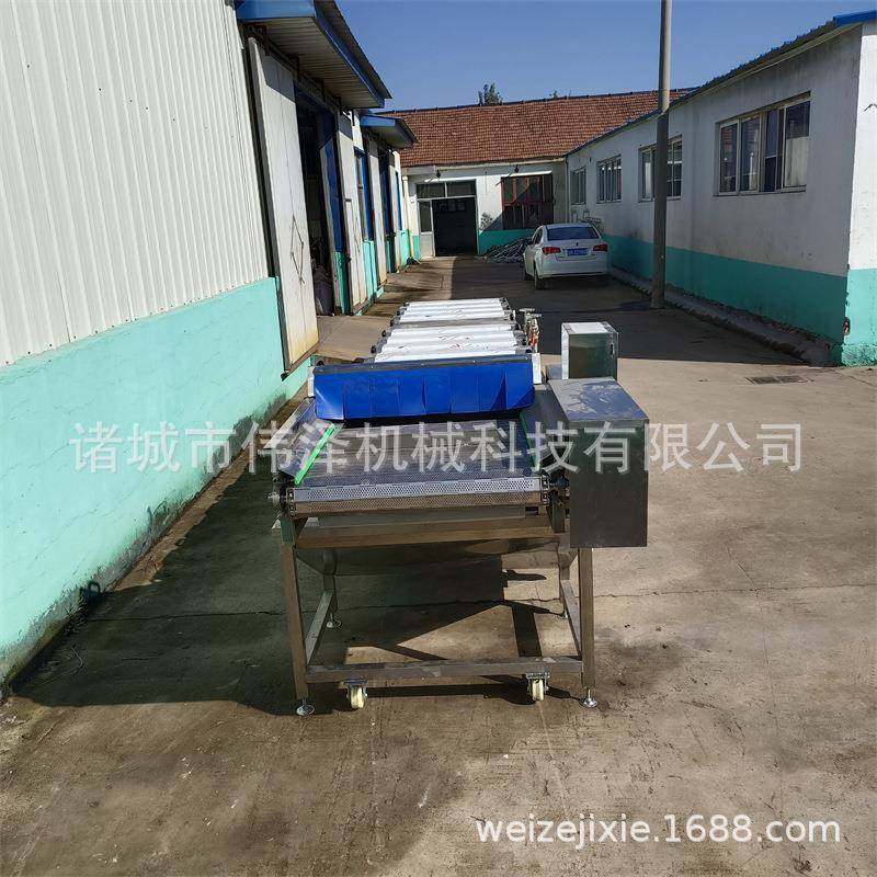 速食下饭菜自动灭菌机腌笋酸菜连续杀菌设备开胃菜杀菌机伟泽,清洗/食品/商业设备,其他食品加工设备,淘宝优惠券,粉丝福利购,淘宝优惠卷