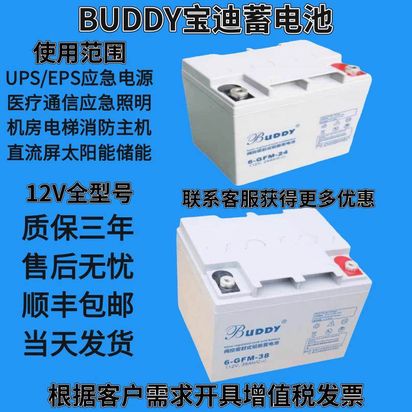 BUDDY宝迪蓄电池 6-FM12V24AH38AH65AH100AH监控机房UPS消防 EPS