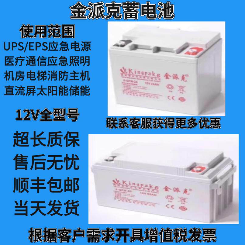 金派克蓄电池6-GFM-65消防主机UPS电源12V17AH24A38A65A100A200AH
