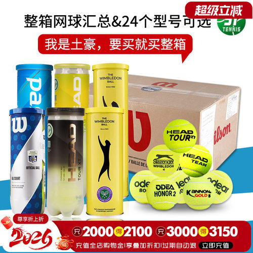 史莱辛格整箱出售铁罐比赛网球