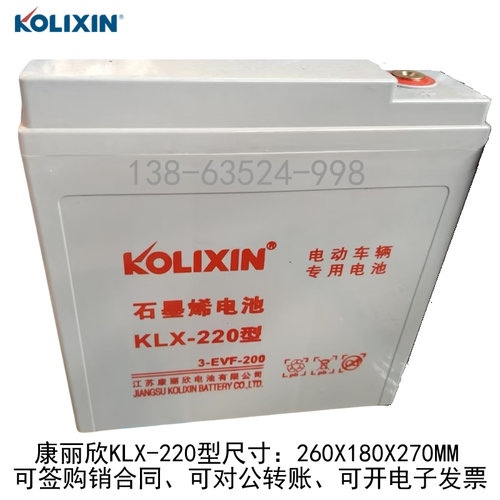 康丽欣电瓶6V200AH免维护蓄电池洗地机牵引电动车3EVF220天能同款
