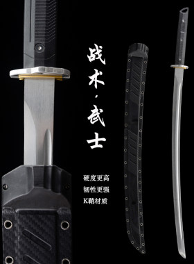 龙泉武士刃高锰钢刀剑现代战术唐横刀一体龙骨雁翎刀冷兵器未开刃