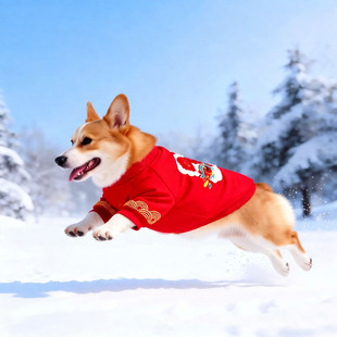 秋冬款新年款狗狗衣服过年加绒红色喜庆拜年小型犬柯基雪纳瑞柴犬