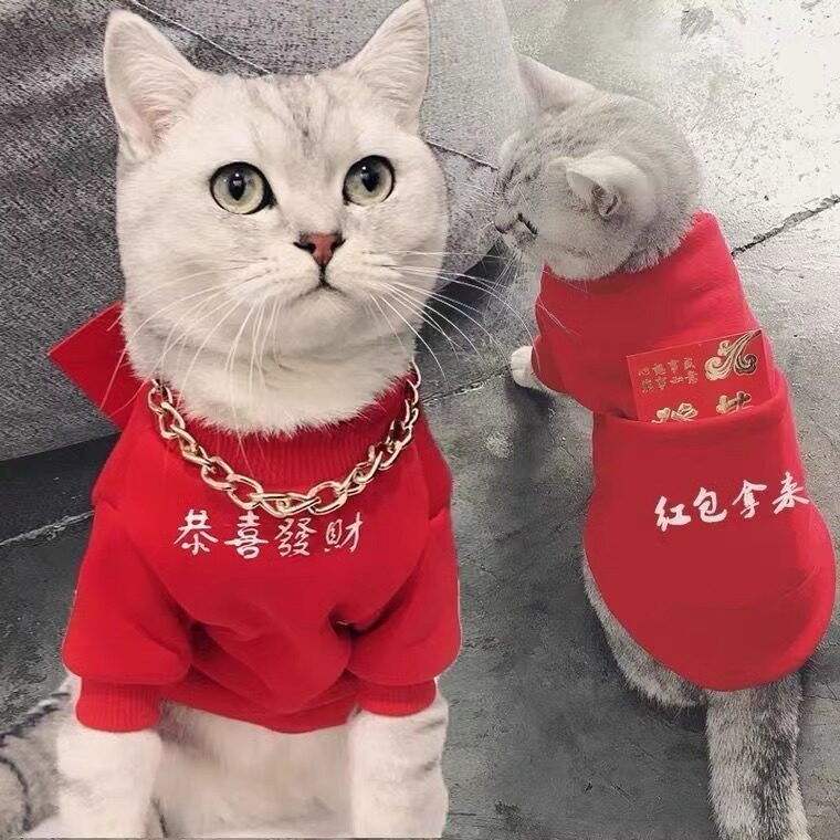 秋冬加绒拜年服狗狗宠物猫咪衣服保暖喜庆恭喜发财新年装过年衣服