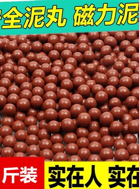 包邮弹弓泥球亮面泥丸8mm9mm10mm安全弹弓弓粮超硬泥球弹弓子弹