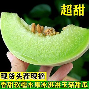 正宗玉菇甜瓜冰淇淋蜜瓜9斤装应季新鲜水果香瓜脆甜密瓜超多汁水