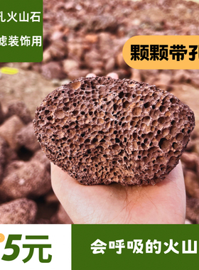 红色天然多孔火山石鱼缸滤材过滤材料铺底火山岩周转箱专用