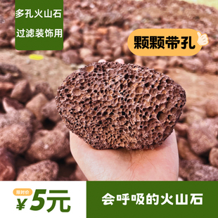 红色天然多孔火山石鱼缸滤材过滤材料铺底火山岩周转箱专用