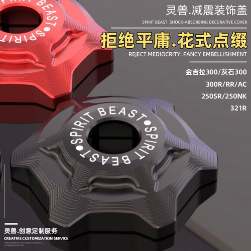 前减震盖适用豪爵TR300金吉拉