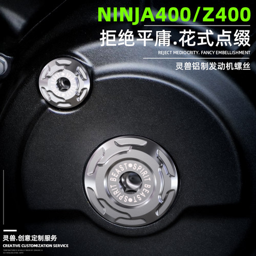灵兽NINJA400发动机螺丝