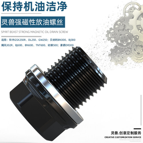 适用铃木gw250放机油发动机改装