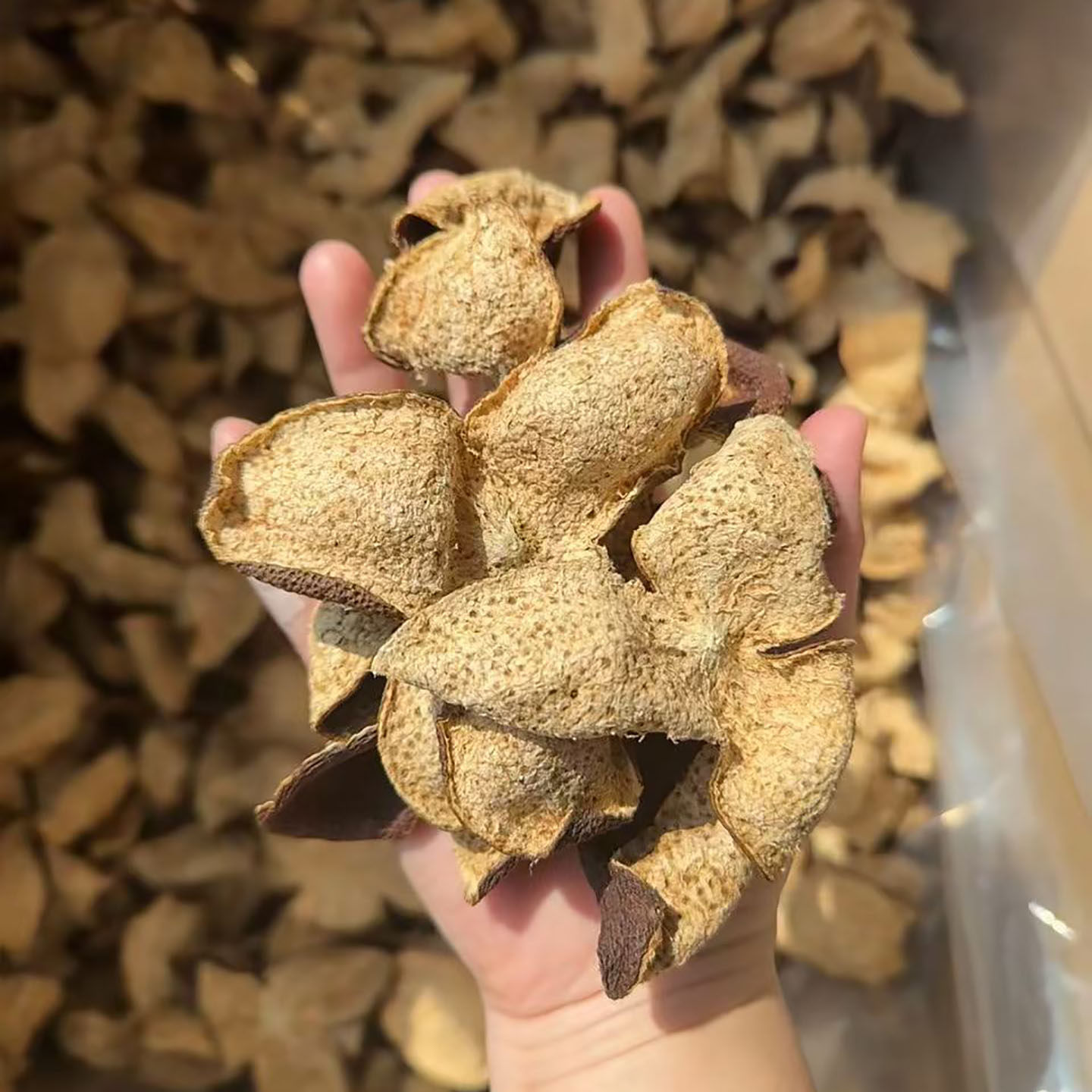 正宗新会陈皮15年老陈皮10年干泡茶水喝橘子皮广东特产生晒大红皮