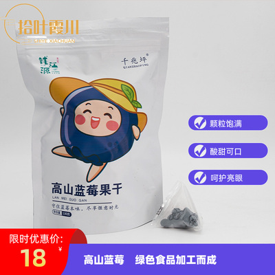 高山蓝莓干独立小包装解馋小零食