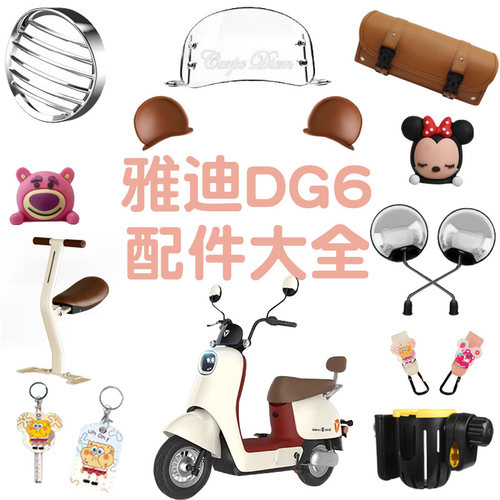 雅迪冠能dg6装饰大全挂包配件