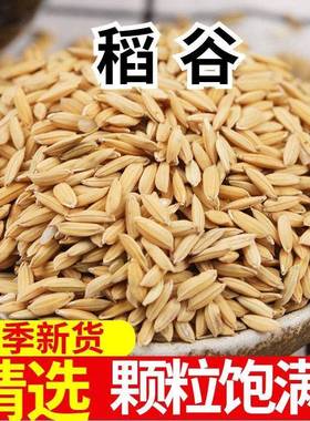 热销带壳稻谷谷子水稻稻子粮食杂粮大米喂鸡鸭鹅鸽鸟仓鼠宠物饲料