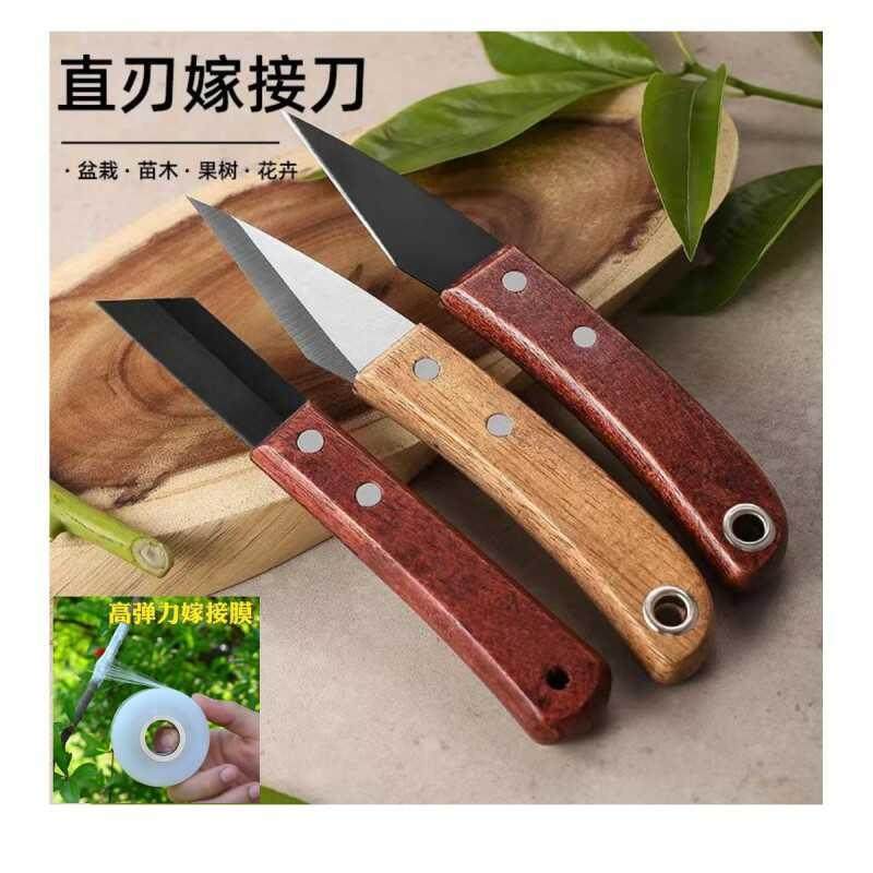 园林不锈钢嫁接刀果树嫁接专用刀芽接刀嫁接膜园艺工具鳝鱼开肚刀,鲜花速递/花卉仿真/绿植园艺,芽接刀,淘宝优惠券,粉丝福利购,淘宝优惠卷