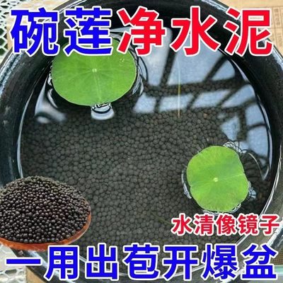 碗莲专用泥睡莲土水草泥高肥力不臭水浑水荷塘泥水培铜钱草陶粒泥