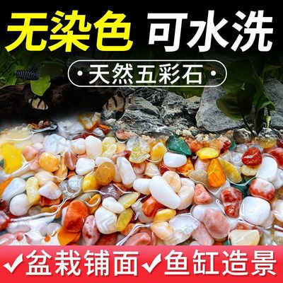 天然雨花石多肉铺面盆栽水培植物铺底鱼缸底砂造景装饰五彩石头子