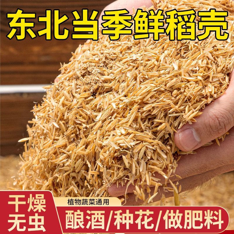 稻壳稻谷壳干燥发酵腐熟喂鸡宠物芦丁鸡垫料枕头芯填充物酿酒饲料