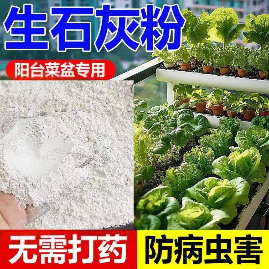 种菜生石灰粉非消毒剂非杀虫剂干燥剂农用改良土壤石灰块除湿刷墙,鲜花速递/花卉仿真/绿植园艺,家庭园艺肥料,淘宝优惠券,粉丝福利购,淘宝优惠卷