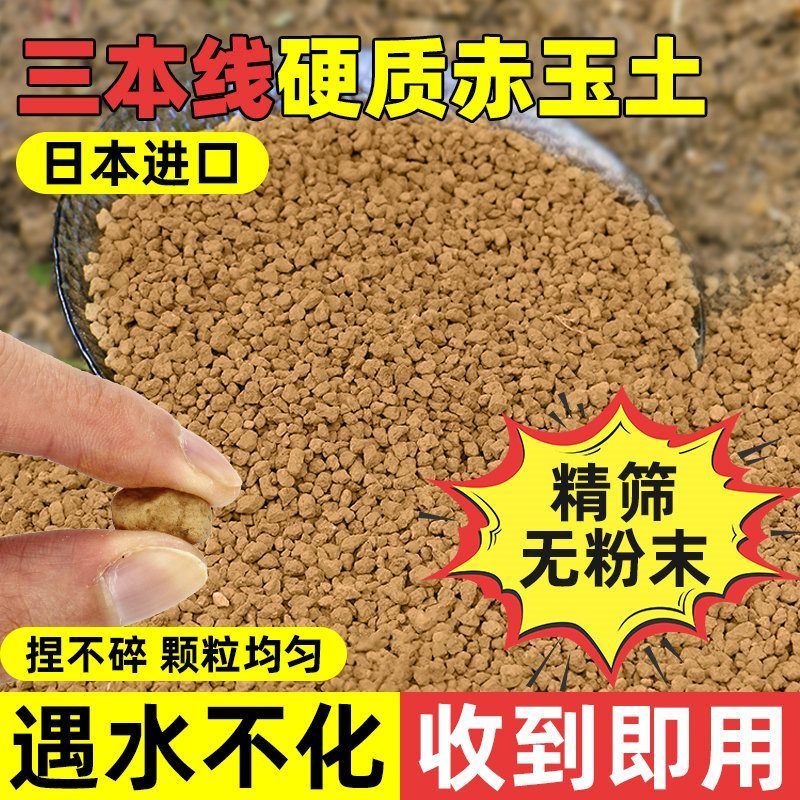 三本线赤玉土日本进口盆景专用硬质颗粒爬宠多肉铺面石扦插营养土