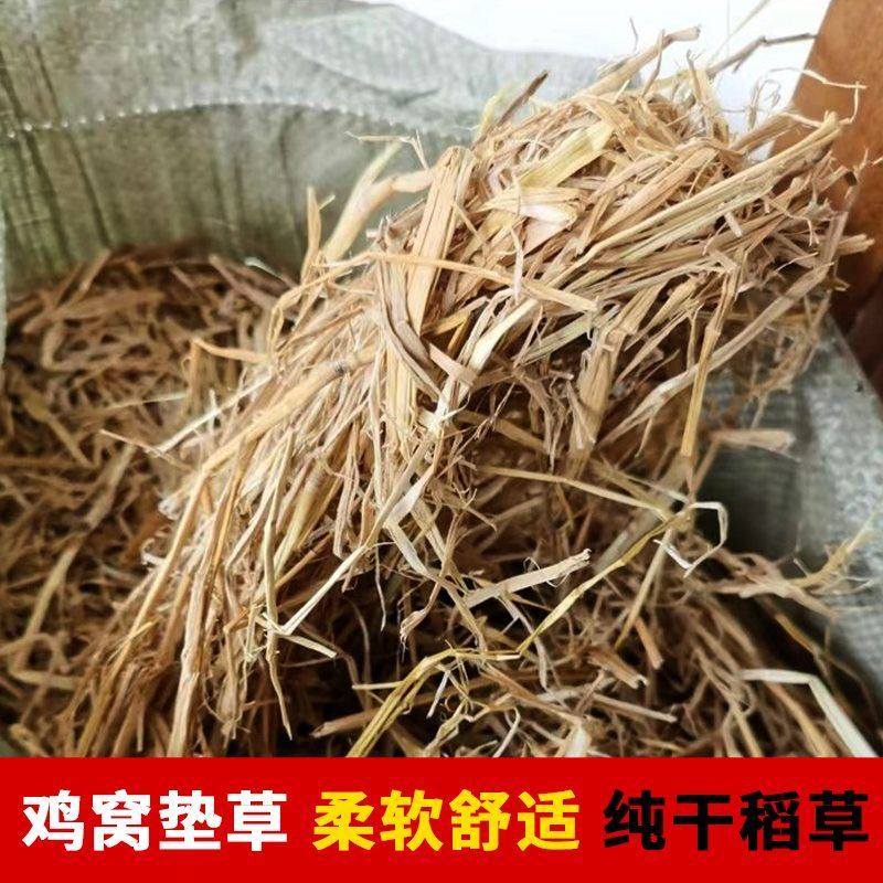 鸡窝下蛋稻草干草垫料秸秆家用纯天然鸟窝母鸡小鸽子宠物保暖草垫,鲜花速递/花卉仿真/绿植园艺,土壤覆盖物,淘宝优惠券,粉丝福利购,淘宝优惠卷