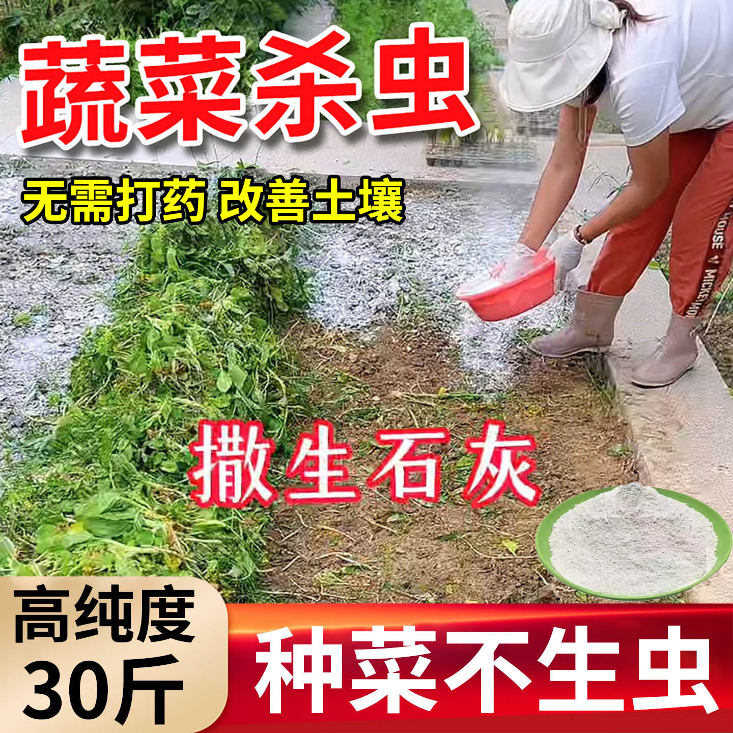 农用生石灰粉种菜专用白灰粉改善土壤杀害虫卵种植蔬菜通用杀虫剂