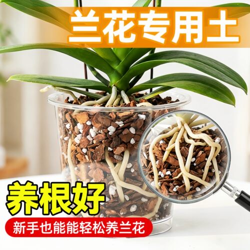 兰科营养土铁皮石斛专用