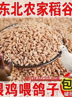 10斤带壳稻谷谷子水稻稻子粮食杂粮大米喂鸡鸭鹅鸽鸟仓鼠宠物饲料
