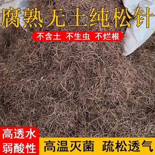 腐熟纯松针兰花杜鹃君子兰专用腐叶土疏松透气发酵天然松针腐殖土